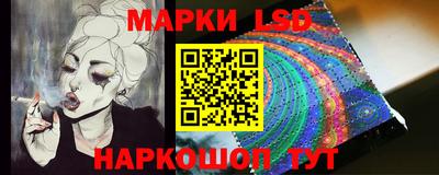 мдпв Новозыбков
