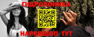 a pvp Новодвинск