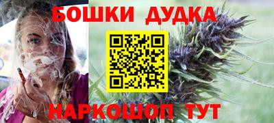 мдпв Новозыбков
