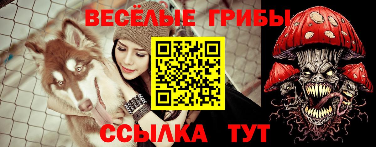 Галлюциногенные грибы мицелий Урус-Мартан