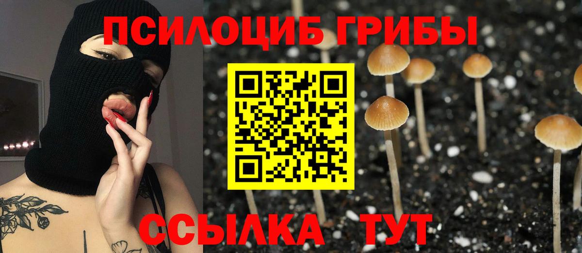 Псилоцибиновые грибы мухоморы  Вход с VPN  Галлюциногенные грибы ЛСД  Урус-Мартан 